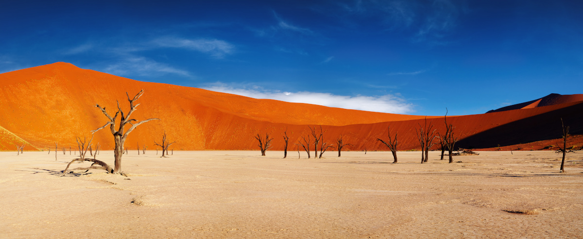 Namib Desert, Sossusvlei, Namibia