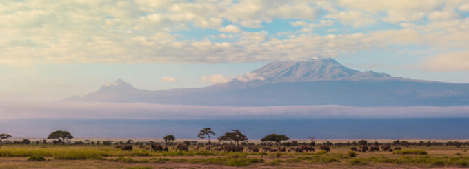 Panorama of Kilimanjaro