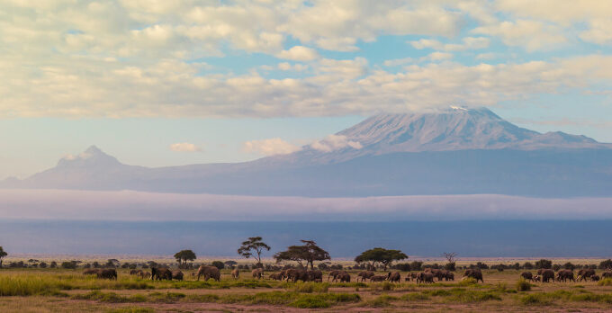 Panorama of Kilimanjaro