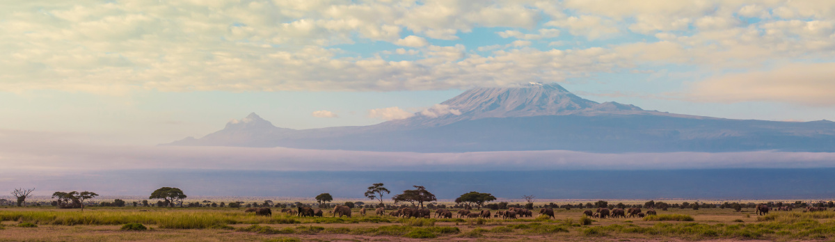 Panorama of Kilimanjaro