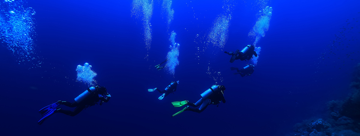 group of divers
